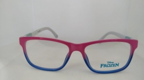 Armao de Grau Disney Frozen 3822 C2010 Rosa e Azul 